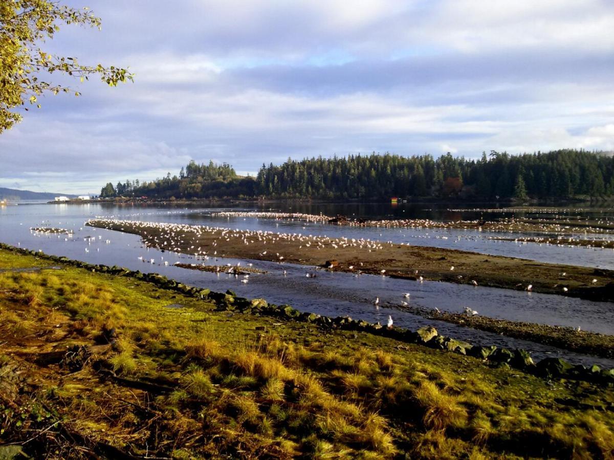 Pioneer Inn By The River Port Hardy Eksteriør billede